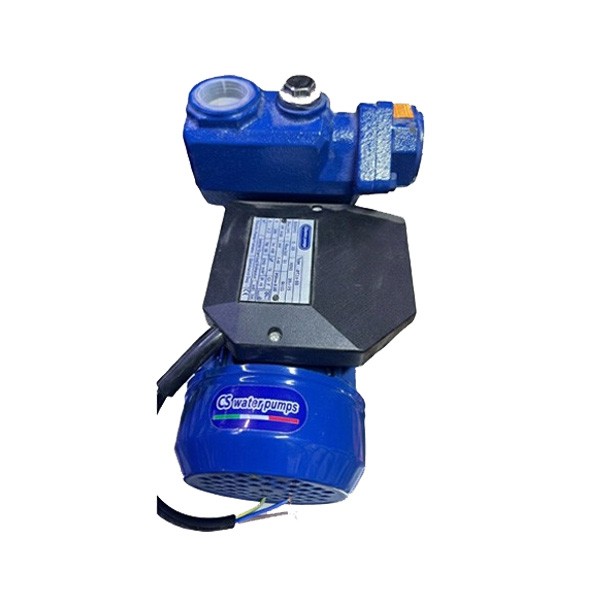 CS WaterPumps Electric Pump, Model No. ATLy-65
